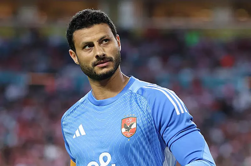 الشناوي يغيب عن التشكيلة الأساسية للأهلي في مواجهة فاركو بالدوري الشناوي يغيب عن التشكيلة الأساسية للأهلي في مواجهة فاركو بالدوري
